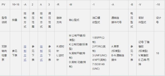 雙聯式軸向柱塞泵型號說明：