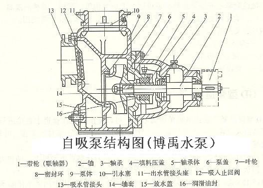 外混式自吸泵結構圖